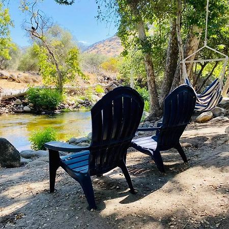 Sequoia Cabin By The River Three Rivers Exteriör bild