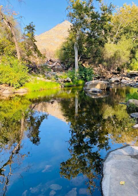 Sequoia Cabin By The River Three Rivers Exteriör bild