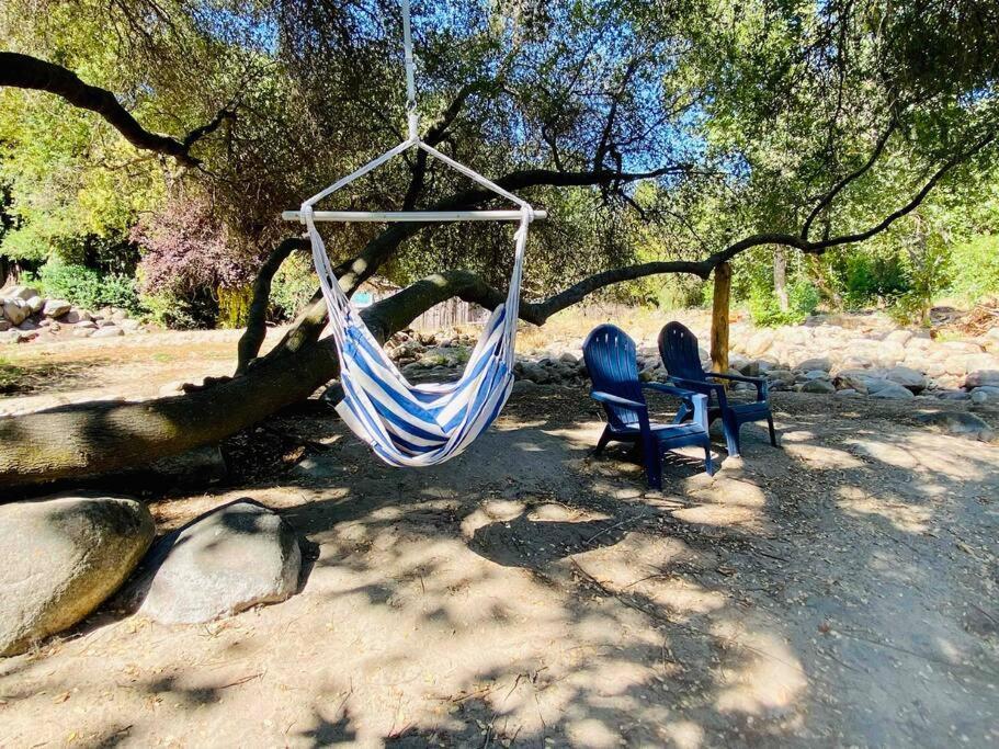 Sequoia Cabin By The River Three Rivers Exteriör bild