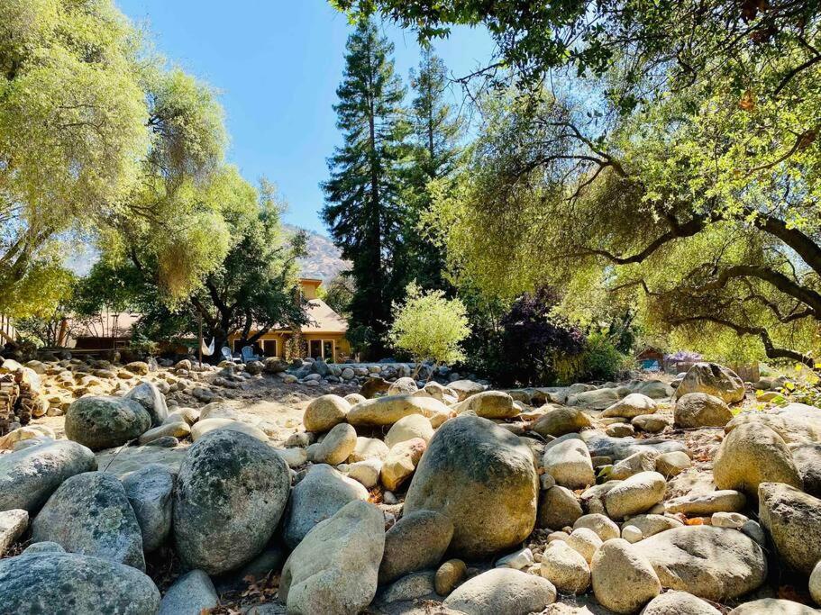 Sequoia Cabin By The River Three Rivers Exteriör bild