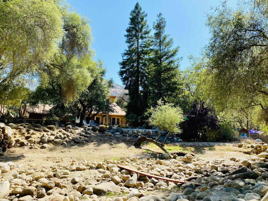 Sequoia Cabin By The River Three Rivers Exteriör bild