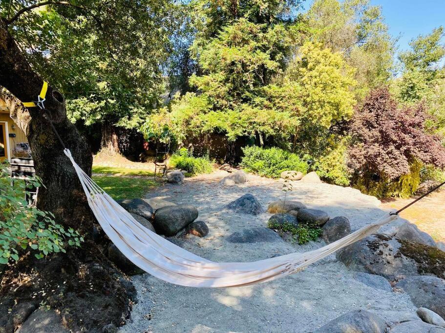 Sequoia Cabin By The River Three Rivers Exteriör bild