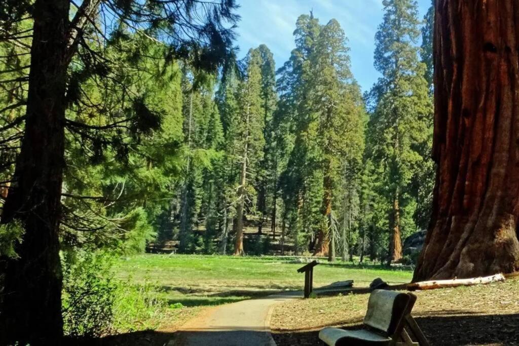 Sequoia Cabin By The River Three Rivers Exteriör bild
