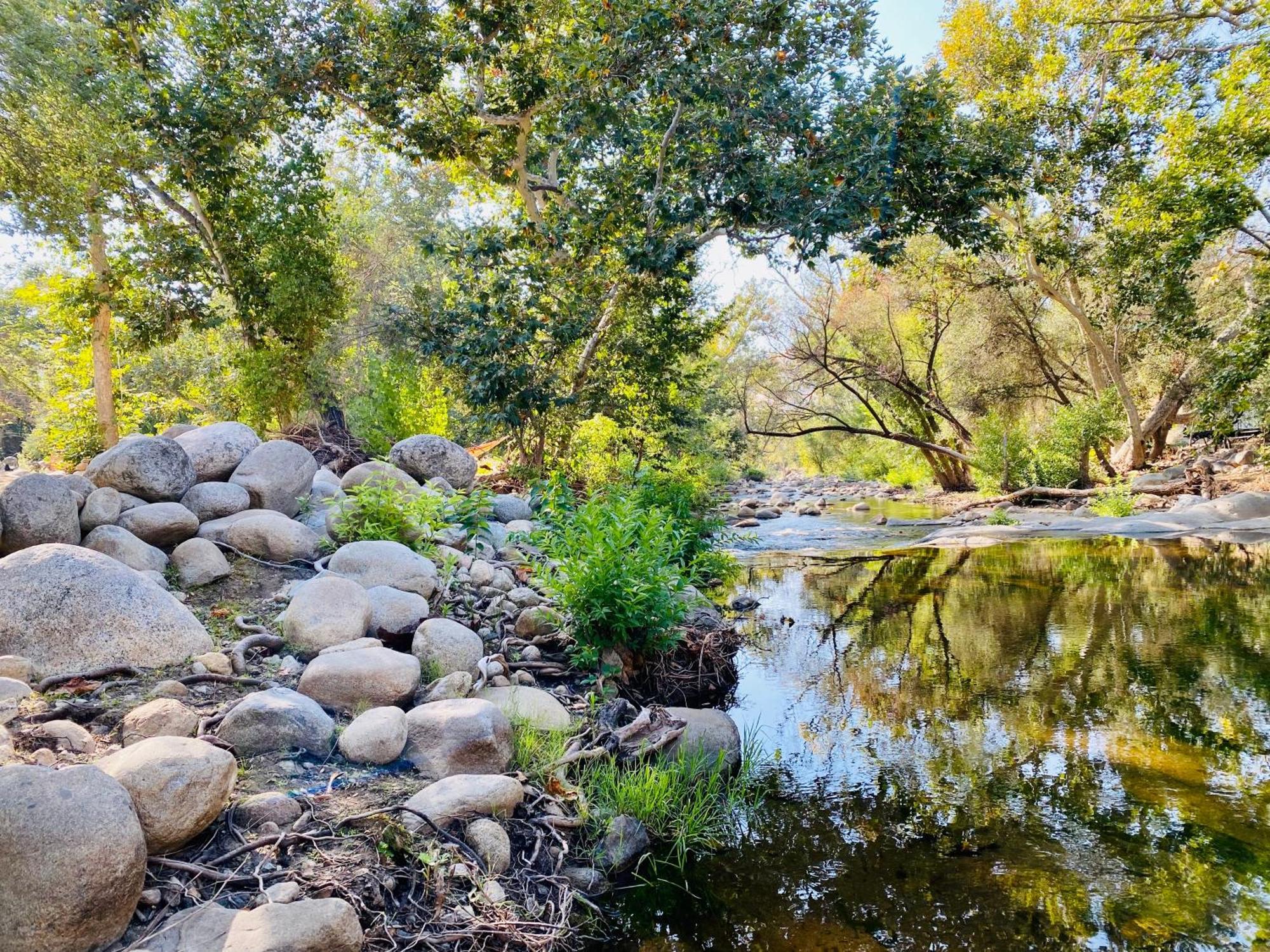 Sequoia Cabin By The River Three Rivers Exteriör bild