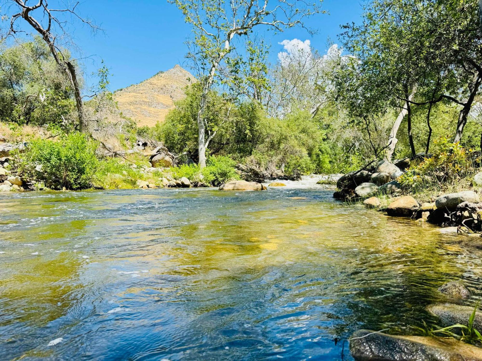 Sequoia Cabin By The River Three Rivers Exteriör bild